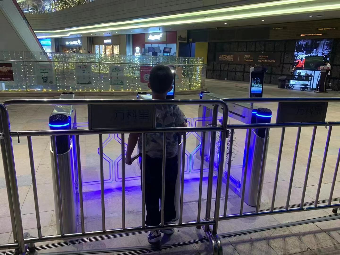 小摆闸案例